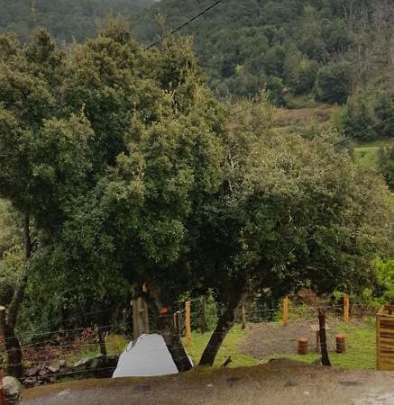 Camping L'Agrottu Au Coeur De La Corse Santa-Lucia-di-Mercurio Dış mekan fotoğraf