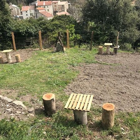 Camping L'Agrottu Au Coeur De La Corse Santa-Lucia-di-Mercurio Dış mekan fotoğraf
