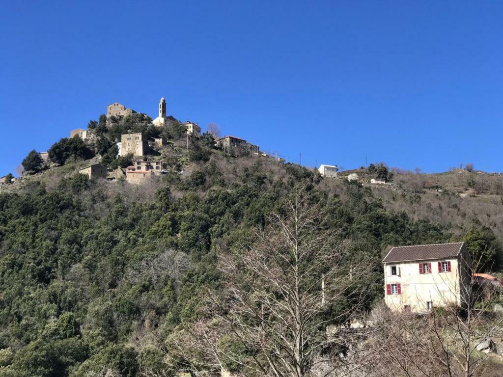 Camping L'Agrottu Au Coeur De La Corse Santa-Lucia-di-Mercurio Dış mekan fotoğraf