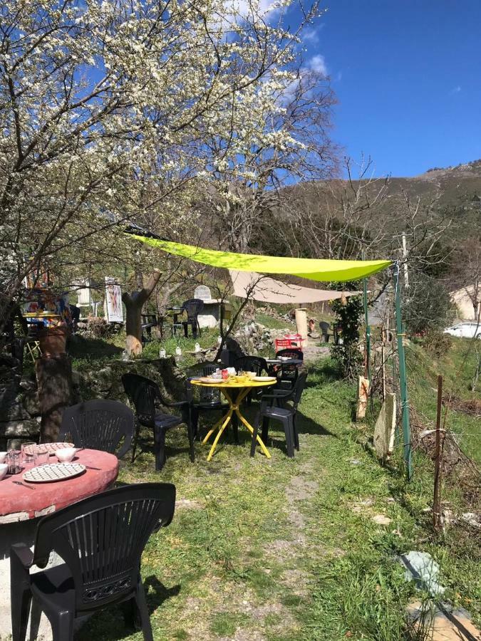 Camping L'Agrottu Au Coeur De La Corse Santa-Lucia-di-Mercurio Dış mekan fotoğraf