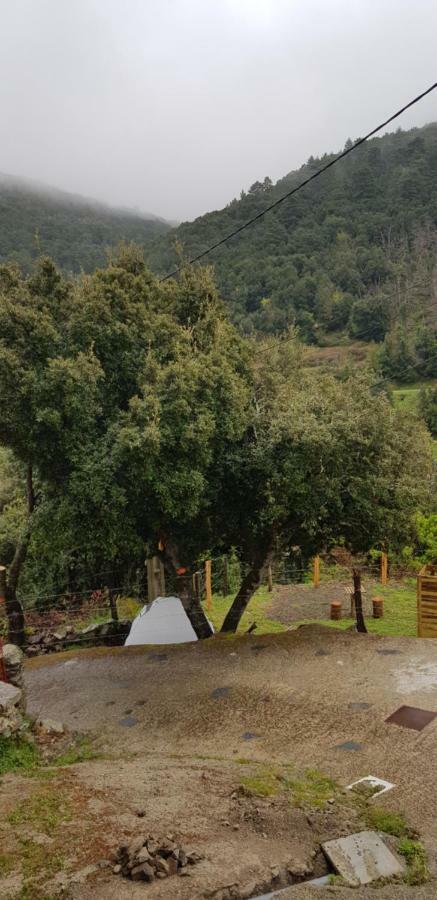 Camping L'Agrottu Au Coeur De La Corse Santa-Lucia-di-Mercurio Dış mekan fotoğraf