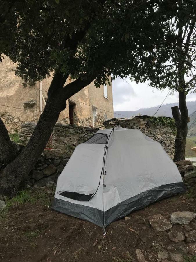 Camping L'Agrottu Au Coeur De La Corse Santa-Lucia-di-Mercurio Dış mekan fotoğraf