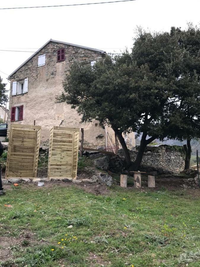Camping L'Agrottu Au Coeur De La Corse Santa-Lucia-di-Mercurio Dış mekan fotoğraf