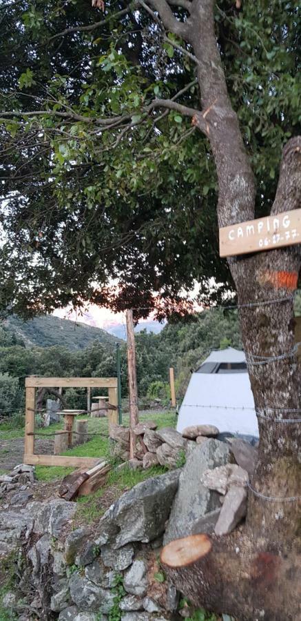 Camping L'Agrottu Au Coeur De La Corse Santa-Lucia-di-Mercurio Dış mekan fotoğraf