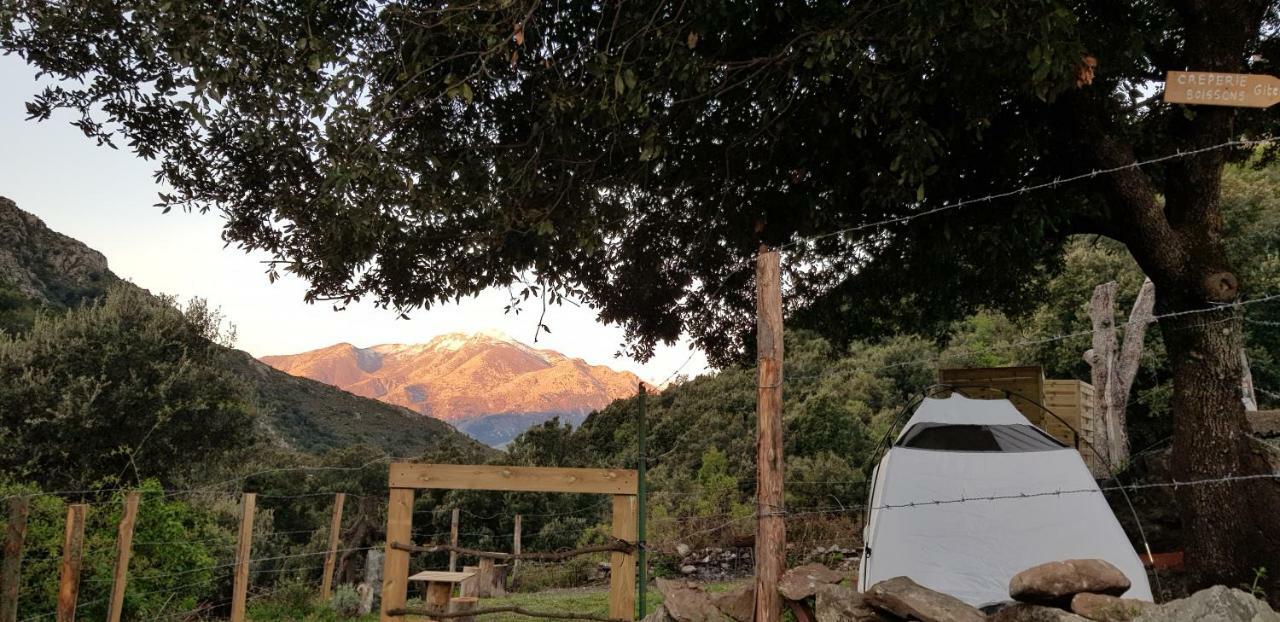 Camping L'Agrottu Au Coeur De La Corse Santa-Lucia-di-Mercurio Dış mekan fotoğraf