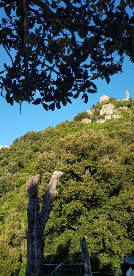 Camping L'Agrottu Au Coeur De La Corse Santa-Lucia-di-Mercurio Dış mekan fotoğraf